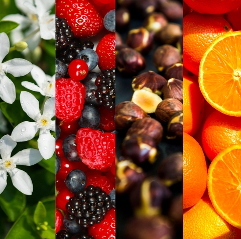 Basics: The Power of Aroma & how to improve your sense of smell! - <p>

I'm willing to bet, that by looking at the images above you have a reference of smell for each: jasmine, mixed berries, roasted walnuts and fresh cut orange.

And as crazy as it sounds, you ...</p>