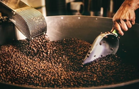 Keeping it Fresh! How long does coffee stay 'fresh' for? - <p>


One of the most asked about topics in the coffee world centres around ‘freshness’.

How quickly should I use my coffee after I buy it? When does coffee stop being ‘fresh&rsqu...</p>