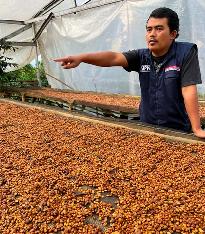 Molten Coffee: Interview with a Sumatran Coffee Farmer - <p>The wild volcanic hills of Sumatra are home to rich soil perfect for growing incredibly delicious coffees.

Interviewer: Daniel Shewmaker

Interviewee: Triyono – Manager of Koperasi Kerinci ...</p>