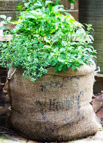 Sustainability: Get creative with hessian coffee sacks! - <p>By Ayanda Dlamini 


As an avid coffee drinker, there’s a sense of responsibility and accountability I feel when it comes to living sustainably. I believe that being a coffee enthusiast ...</p>
