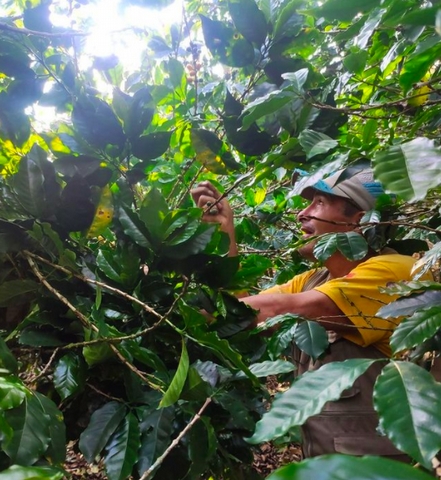 The Next Generation: Peru's Young Coffee Farmers - <p>Contributions from Jorge Jacobi Montalvan and Lisanne Oonk




Intro by Mel Winter

When I dream of visiting Peru, my first thoughts are of exploring the Inca culture and traveling th...</p>