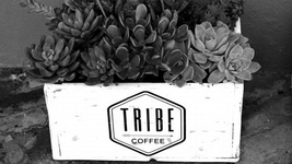 Tribe Coffee's Winter Drive