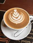 Cafe Focus: Villamar, Wellington
