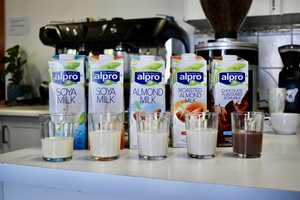 The lineup! We tested all of these in the Coffee Magazine HQ kitchen and we got our friend Richard, who drinks almond cortados everyday as our guest taster!