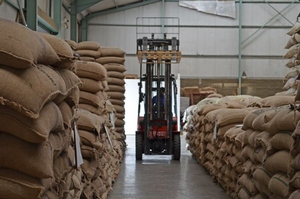 Seven Oaks Trading imports green coffee direct from origin and supplies to coffee roasters nationally. There is a LOT of delicious coffee in this warehouse.