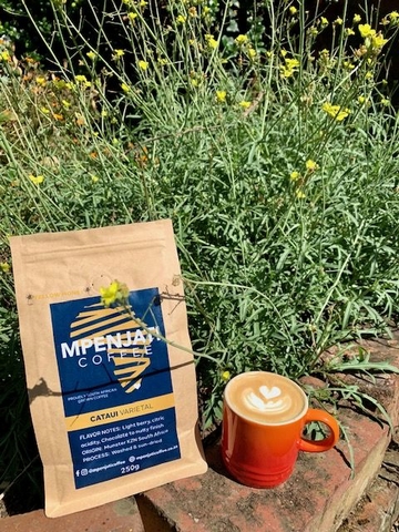 Coffee Club Review: Mpenjati's Yellow Honey Cataui - locally grown in KZN! - <p>This is the second coffee we are featuring of the six coffee in this edition’s Discover Great Coffee Club box, and believe me, it is a very special coffee!

Introducing....Mpenjati Coffee - Ye...</p>