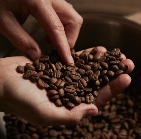 Roaster Focus: What is happening to coffee beans inside the roaster?! - <p>HELP! What’s happening to my beans?



There seems to be a massive misconception between tipping, scorching, blowing, and burning.. Part of the problem is there is no naming convention - doe...</p>