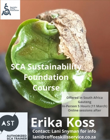 SCA Sustainability Course: 11 March in Johannesburg with Erika Koss - <p>One of our favourite Coffee Magazine contributors and Creative Coffee Week speakers, Erika Koss, will be in Johannesburg in March, in partnership with Lani Snyman, to give South African Coffee Profess...</p>
